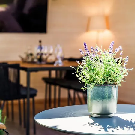 Bregenzer Traum Am Bodensee Inkl Fahrraeder * Брегенц