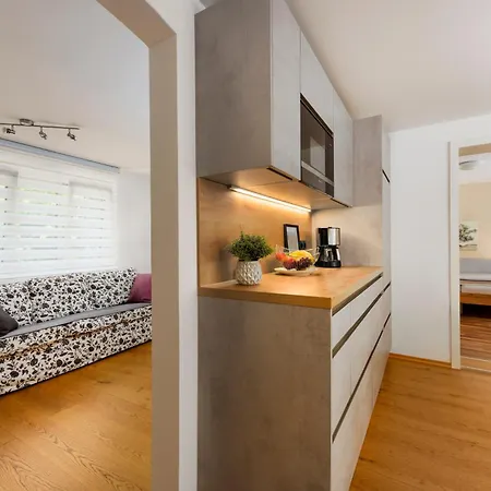 Bregenzer Traum Am Bodensee Inkl Fahrraeder Апартаменты *