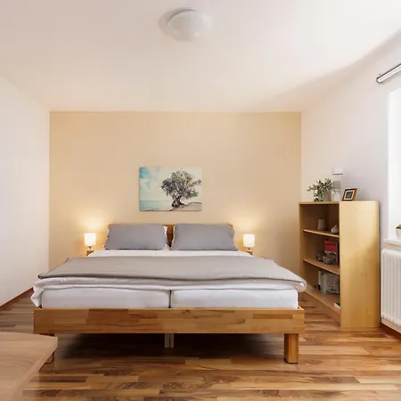 Bregenzer Traum Am Bodensee Inkl Fahrraeder Апартаменты *