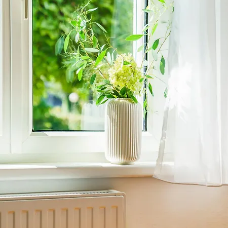 Апартаменты Bregenzer Traum Am Bodensee Inkl Fahrraeder *