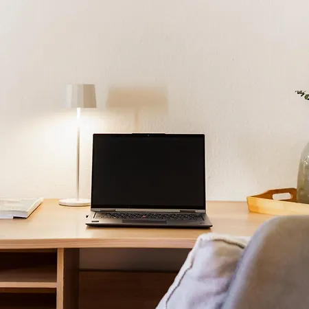 Bregenzer Traum Am Bodensee Inkl Fahrraeder Брегенц